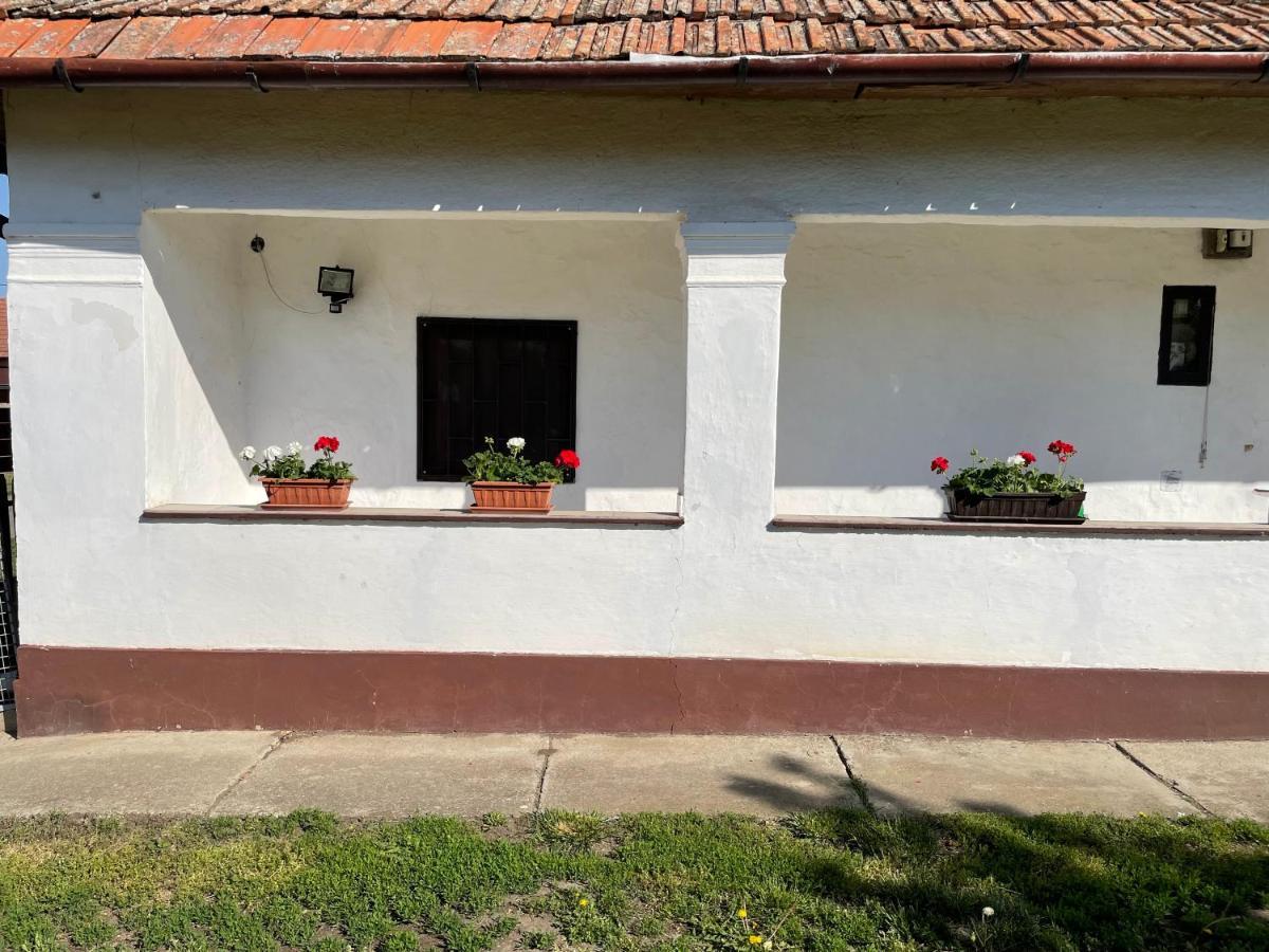 Апартаменты Zsuzsa Apartman Поросло Экстерьер фото